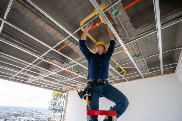 Best Plumbing Repair Near Me  in Plum Grove, TX